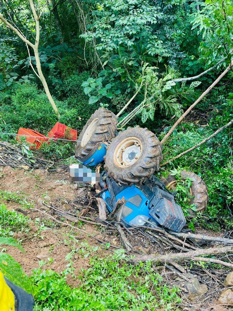  - IMAGEM DIVULGAÇÃO