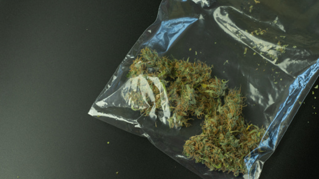 Imagem iStock - Abordagem de rotina termina em registro por posse de maconha em Ibiraquera