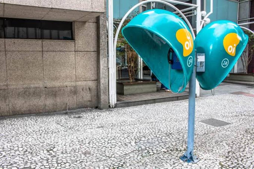 ORELHÕES SERÃO EXTINTOS EM TODO O BRASIL ATÉ O FIM DE 2028