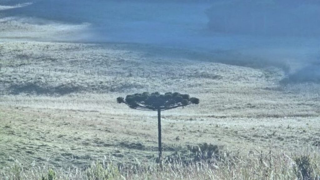 Quarta geada de 2026 é registrada no Vale do Caminhos da Neve
