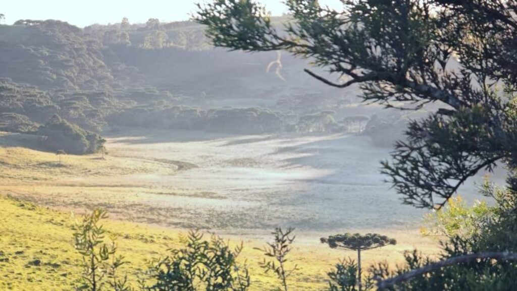 Quarta geada de 2026 é registrada no Vale do Caminhos da Neve