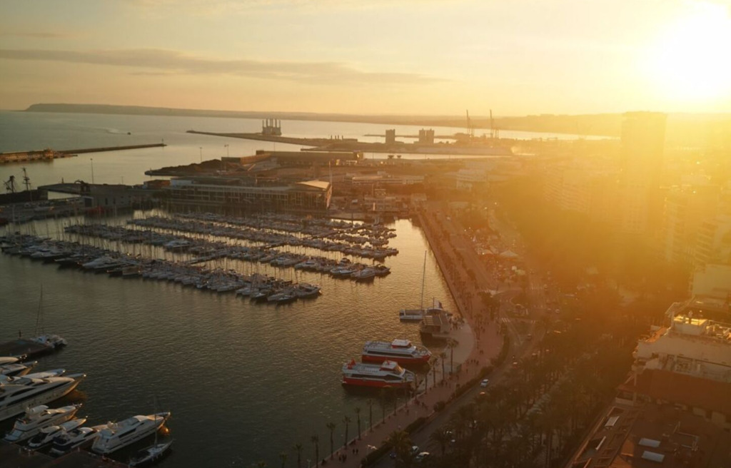 Tratado gera oportunidades e desafios para pequenos negócios catarinenses