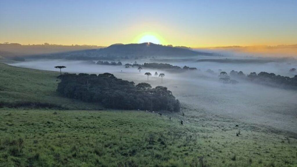 Quinta geada de janeiro é registrada no topo da Serra Catarinense
