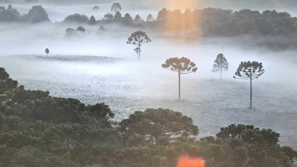 Quinta geada de janeiro é registrada no topo da Serra Catarinense