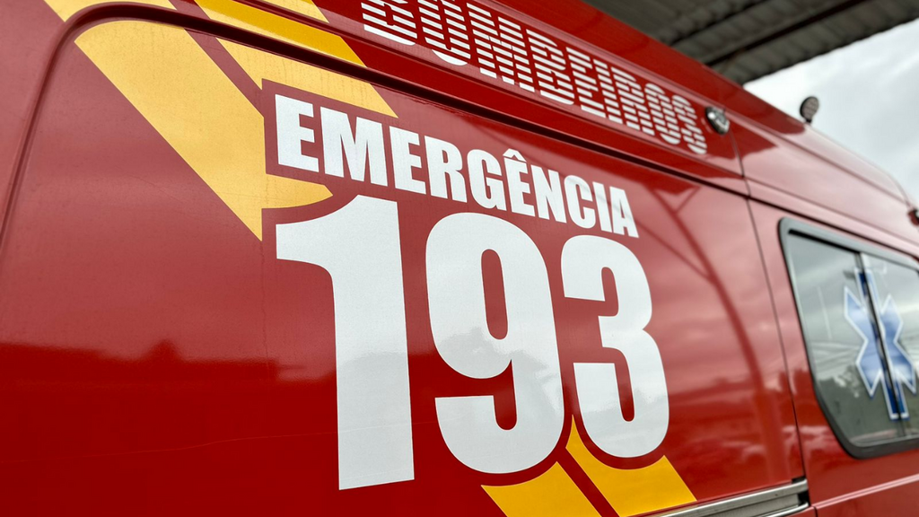 Fogo usado contra vespas causa incêndio em edícula em Imbituba