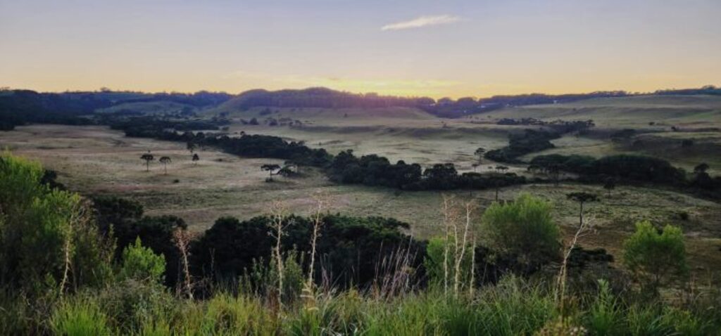 Registrada a sexta geada de janeiro