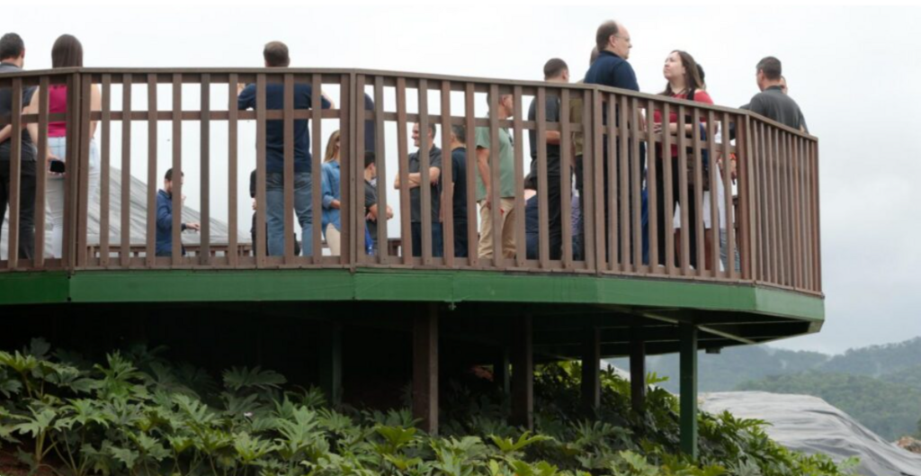 Semana da Educação Ambiental em Joinville terá trilha na Mata Atlântica, visitas educativas e doação de mudas