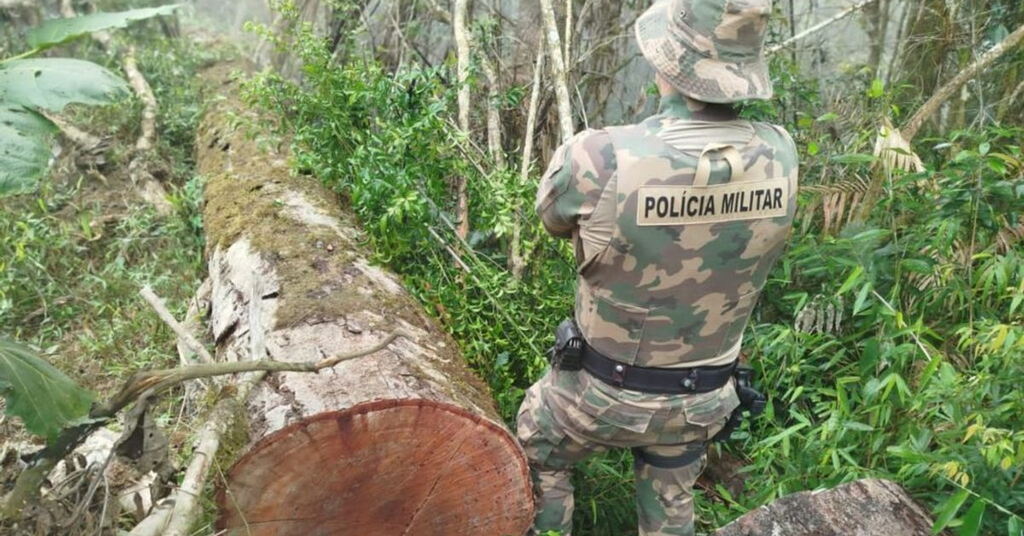 Polícia Militar prende suspeito de crimes ambientais em Santa Terezinha