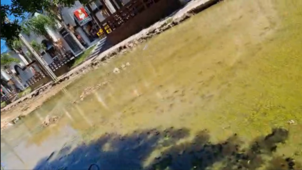 Imagem principal artigo