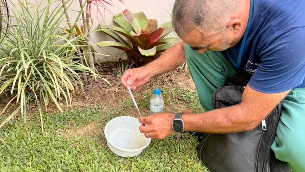 Canoinhas não tem pessoas infectadas por dengue; Epidemiologia monitora focos do mosquito