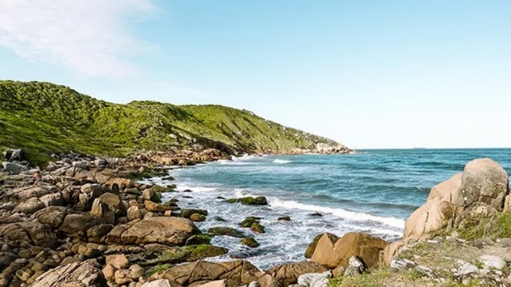 Imagem principal artigo