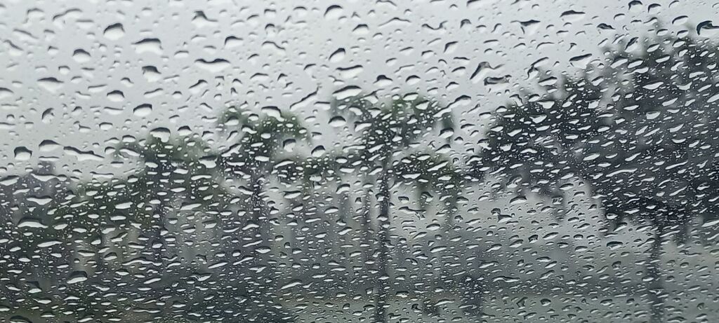 Temporais, calor e risco de alagamentos marcam o final de semana em SC