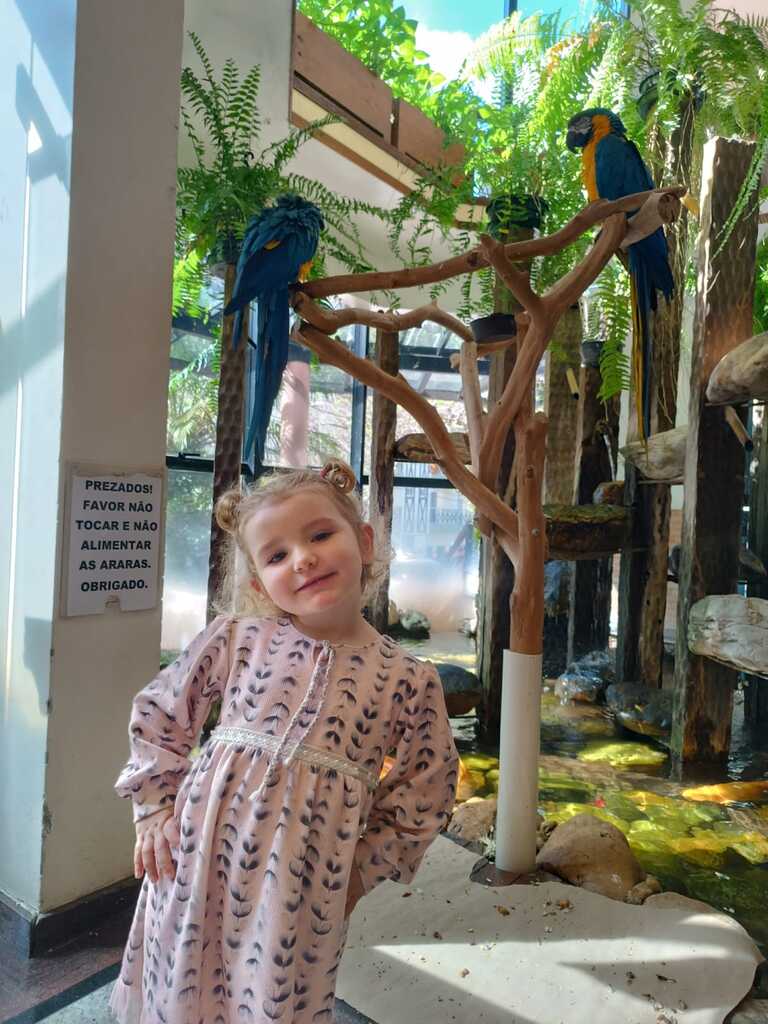 Aniversário de Ana Laura Borges