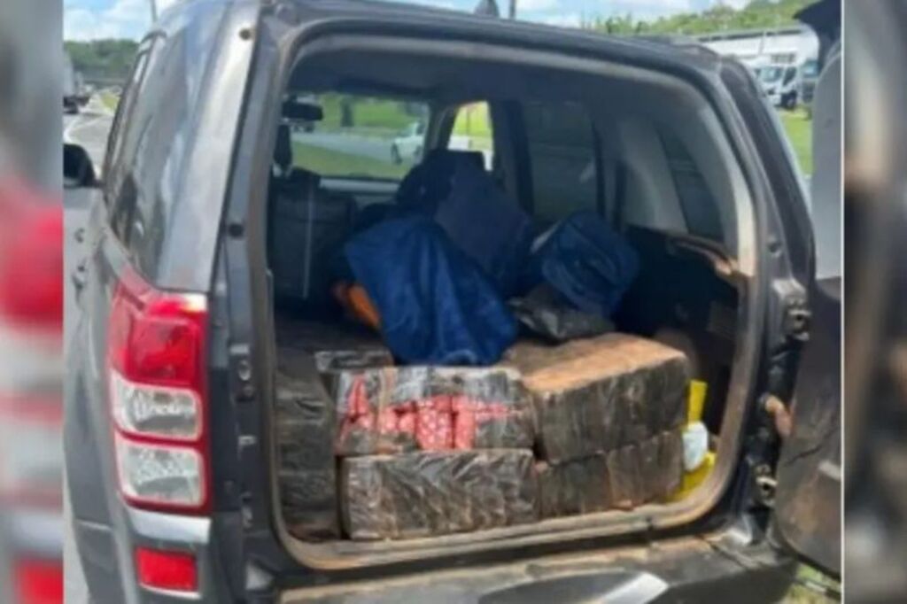 Polícia apreende quase R$ 1 milhão em maconha na BR-101 em Joinville