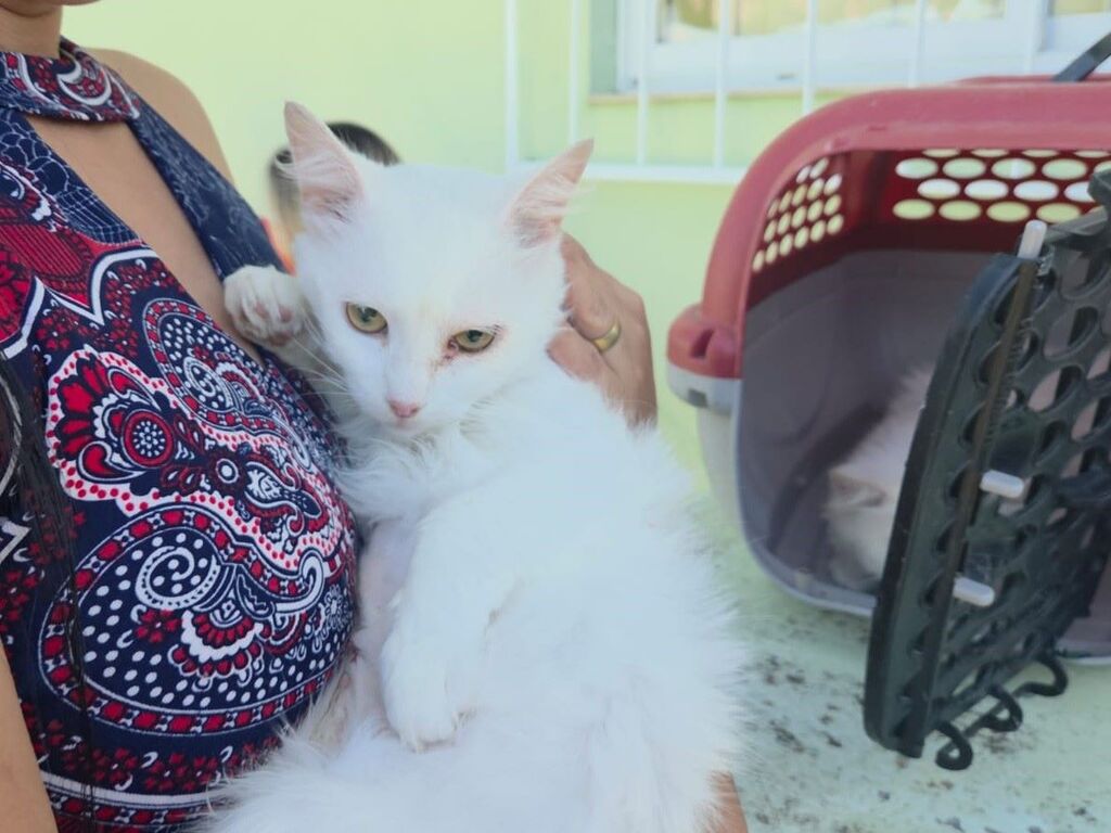 Rio Negrinho realiza os primeiros mutirões do programa Pet Levado a Sério do ano