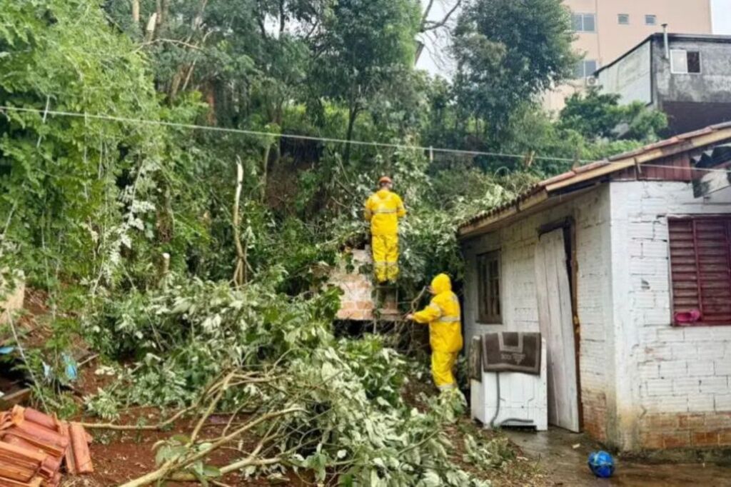 Moradores relatam momentos de medo após forte temporal em Videira provocar estragos