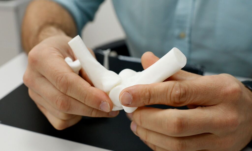 Estudo arqueológico sugere que povos sambaquianos da Baía Babitonga caçavam grandes baleias há 5 mil anos