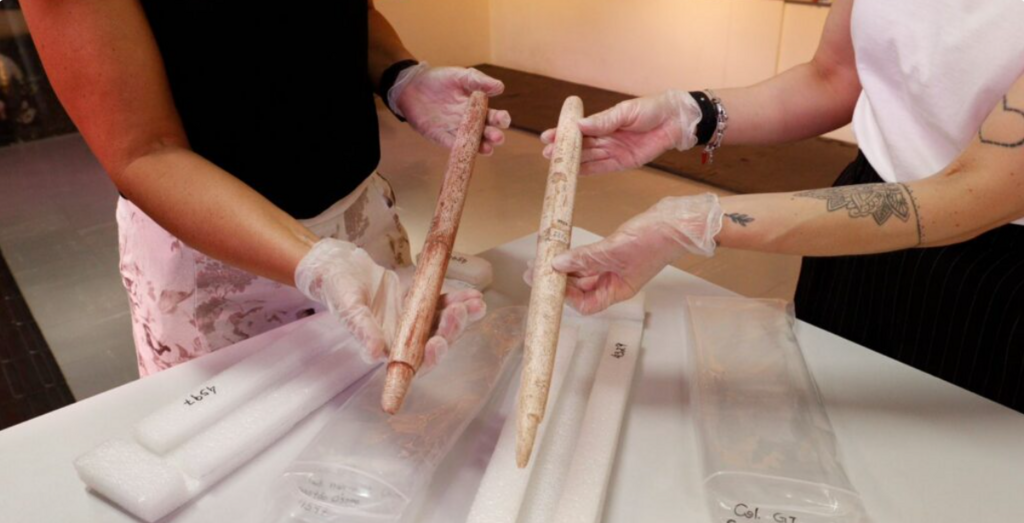 Estudo revela que povos dos sambaquis da Baía Babitonga caçavam baleias há 5 mil anos