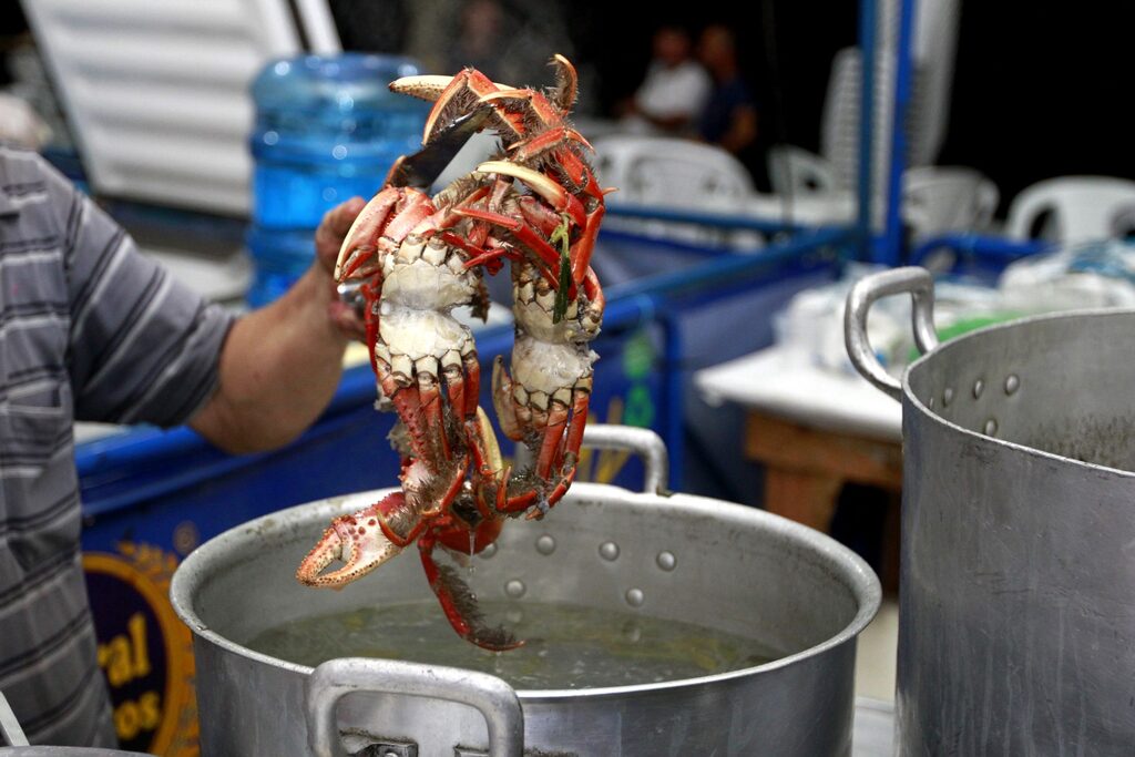 8ª Festa do Caranguejo valoriza cultura do manguezal e movimenta economia de Araquari