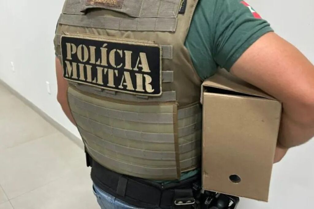 Operação Control C: investigação revela editais manipulados para favorecer empresa de software em SC