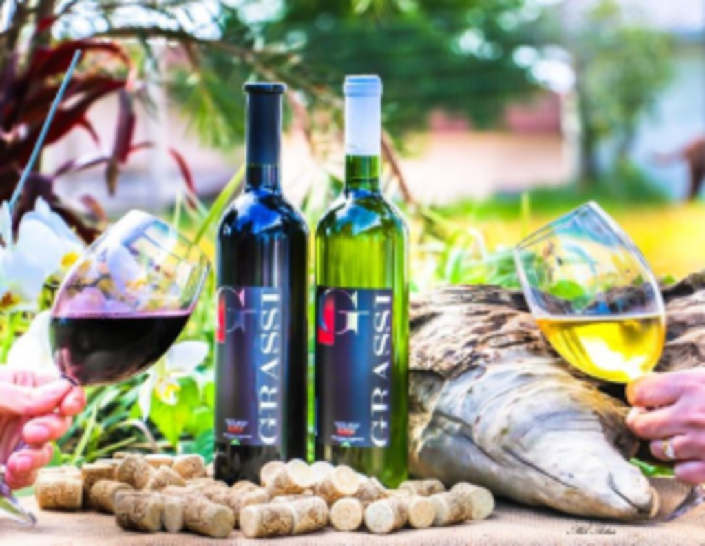 Recanto Vinhos Grassi - Sítio Cana Verde