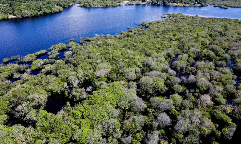 GOVERNO LANÇA EDITAL PARA COMBATE AO DESMATAMENTO NA AMAZÔNIA