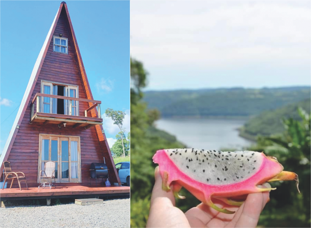 Sítio Griz – Pitayas e chalé