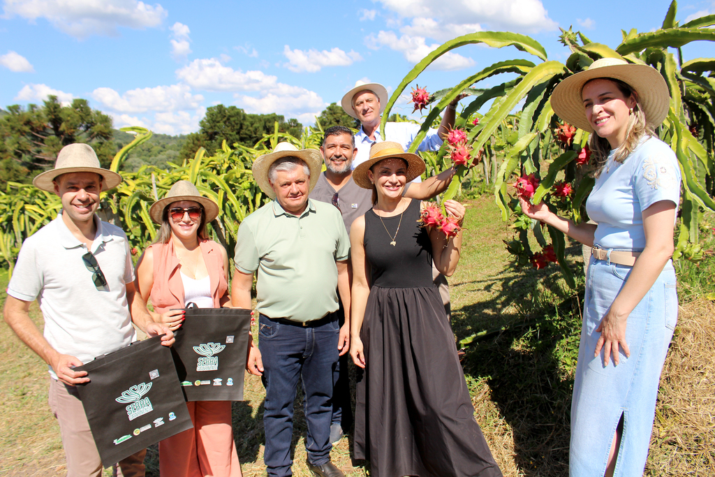 Aberta a temporada de colheita de pitayas na Serra Catarinense