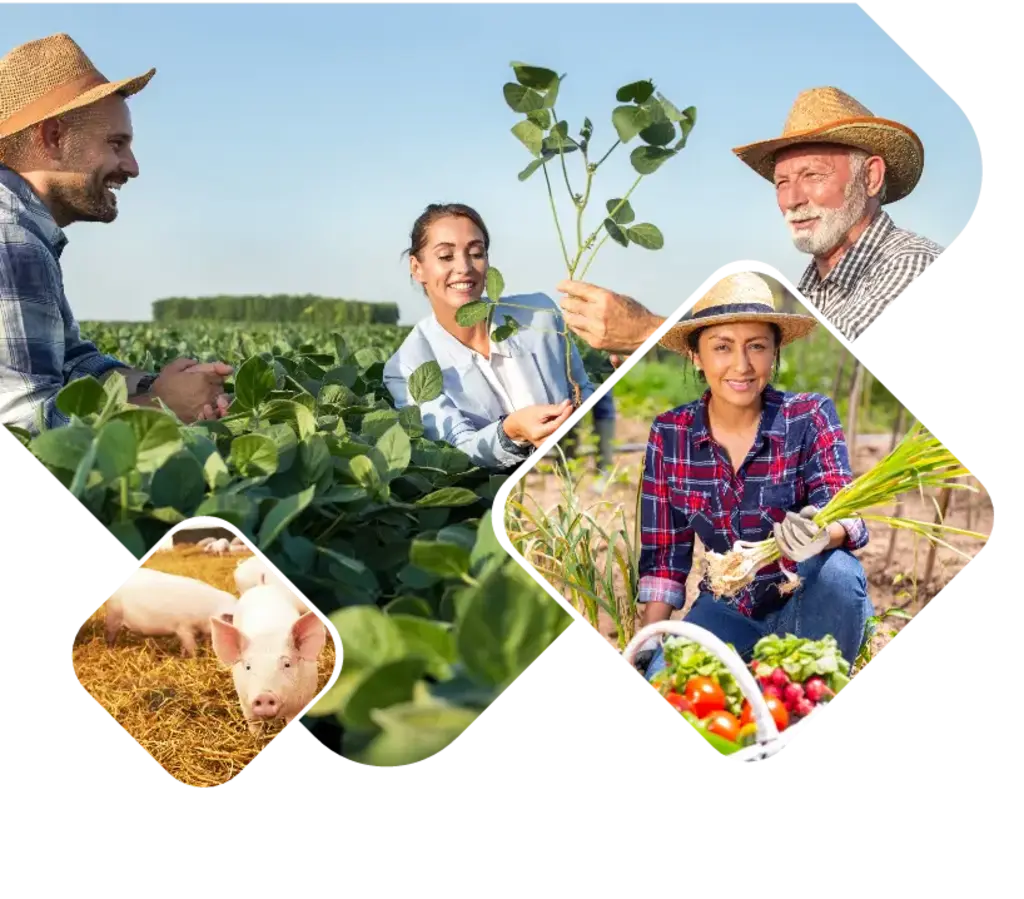 Nova tributação já começou: agro precisa ficar atento às mudanças
