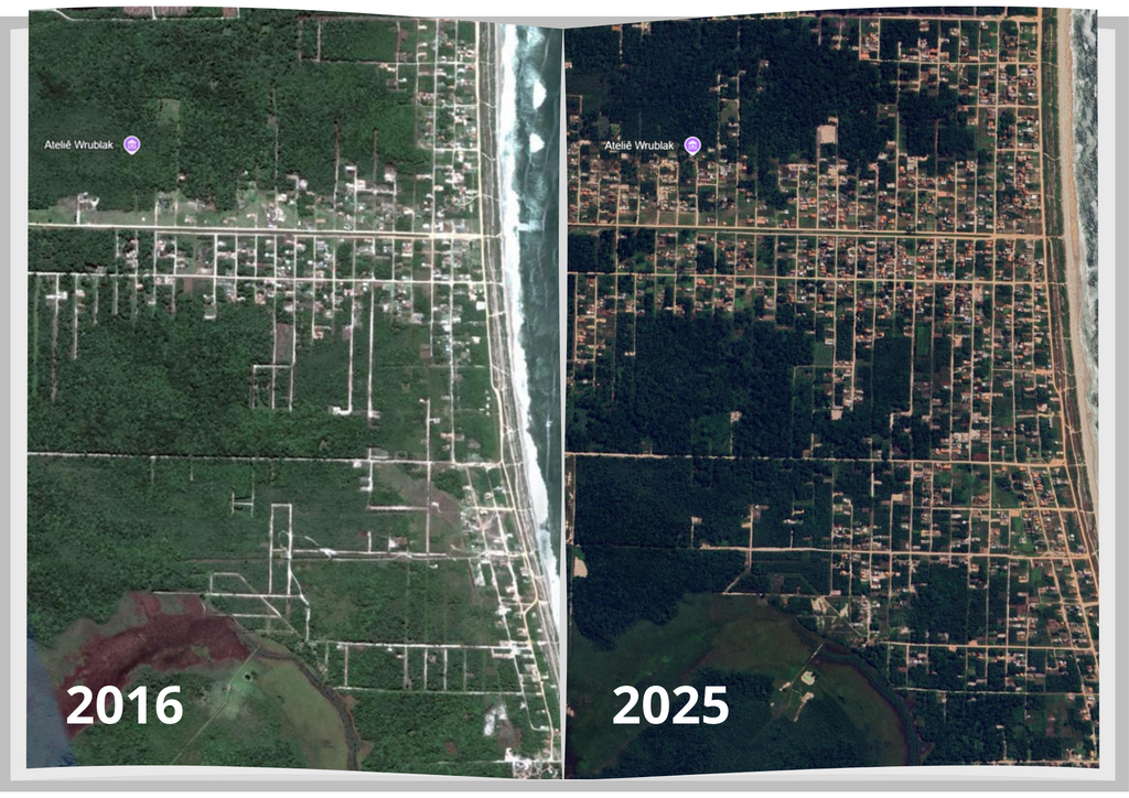 MPSC recomenda suspensão de regularização fundiária na zona sul da praia do Ervino, em São Francisco do Sul