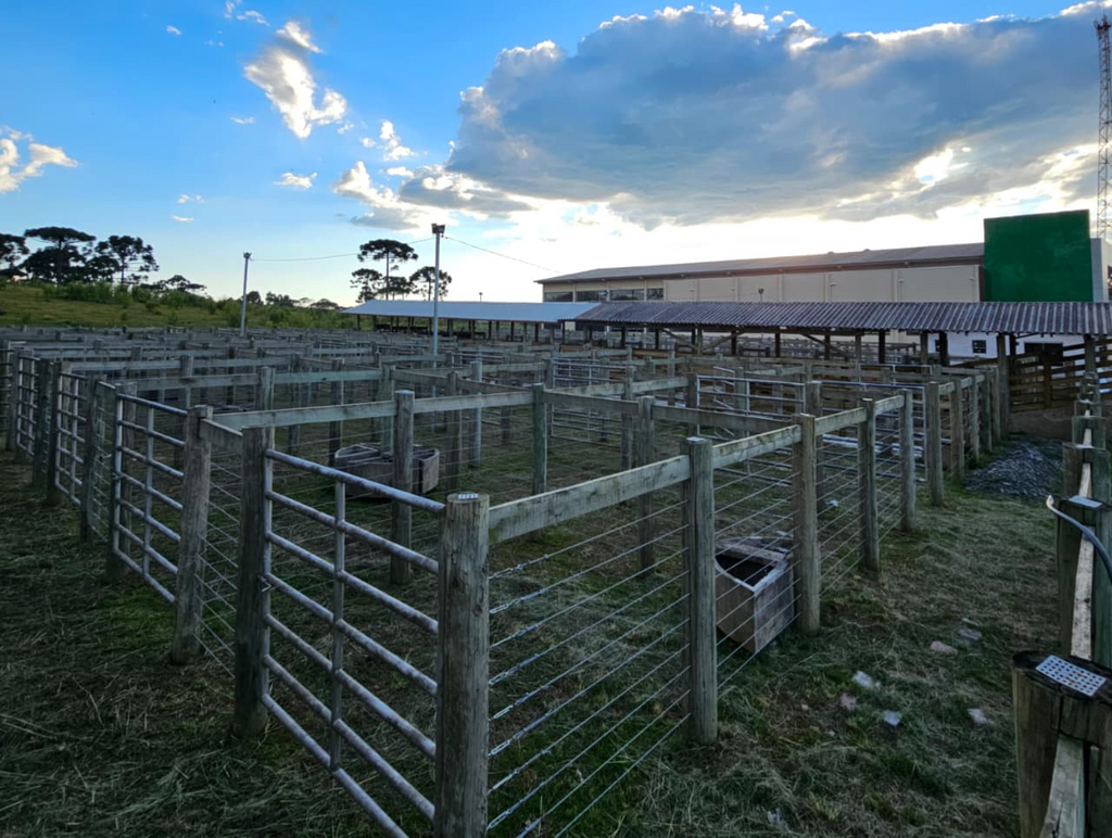 Em noite de emoção, Palmeira inaugura Cancha de Arremates Tarcísio Barbosa de Souza