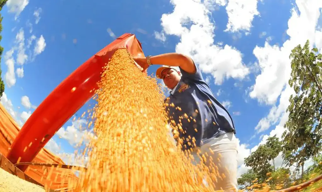 Produção de grãos pode chegar a 353,4 milhões de toneladas