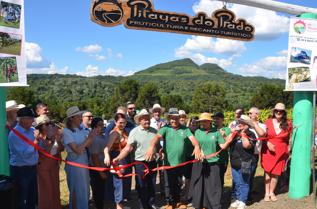 Aberta a temporada de colheita de pitayas na Serra Catarinense