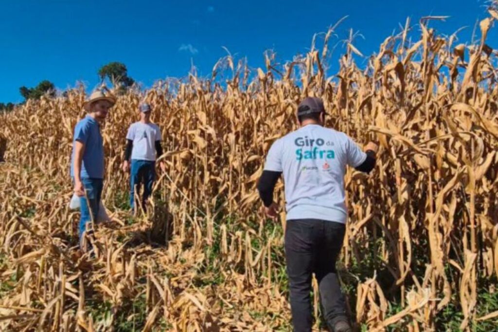 Sicoob e Epagri promovem 3ª edição do Giro da Safra em Santa Catarina