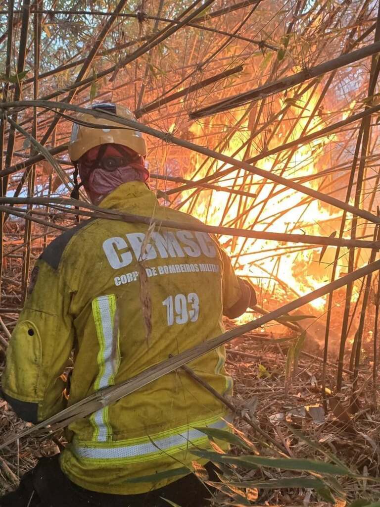 Incêndio de grandes proporções atingiu área de preservação e reflorestamento no Parque Rio Canoas