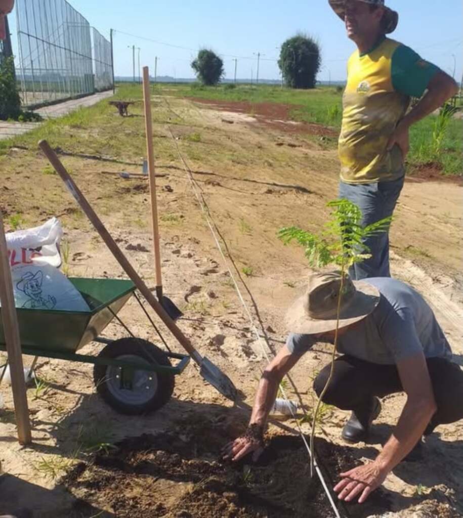 EM PARCERIA COM IFC, PARQUE DA POLVILHANA RECEBE PAISAGISMO COM ÁRVORES NATIVAS EM SANTA ROSA DO SUL