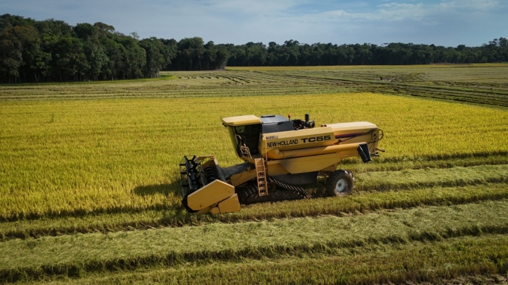 Frente Parlamentar debate alternativas para a crise na rizicultura