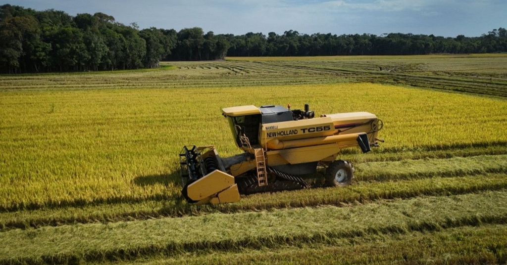 Frente Parlamentar do Cooperativismo debate alternativas para a crise na rizicultura
