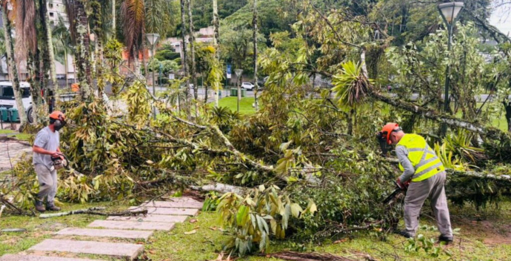 Temporal em Joinville causa queda de árvores, alagamento e ventos de até 64 km/h