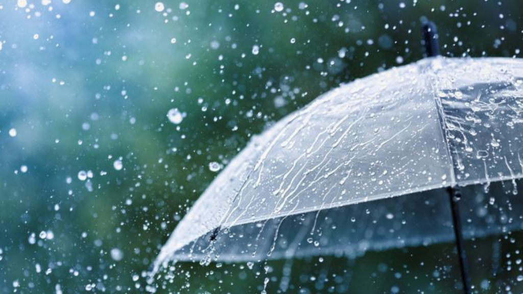 Imagem principal artigo