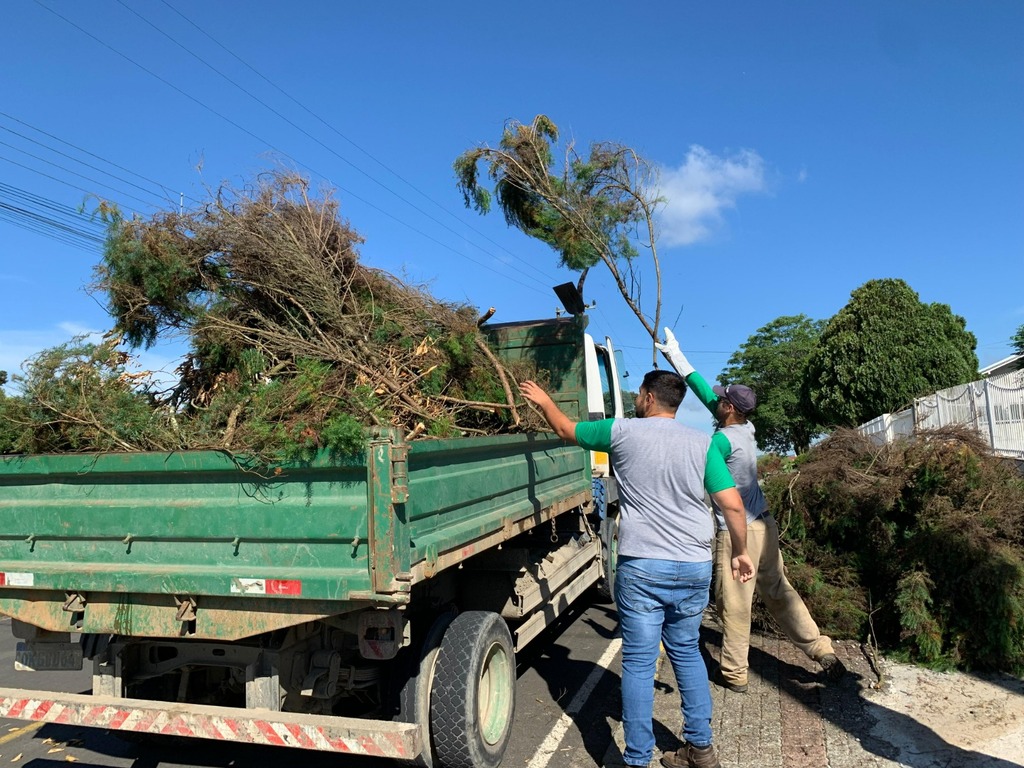 Prefeitura de Otacílio Costa realiza 2º Mutirão de Recolhimento de Galhos no perímetro urbano