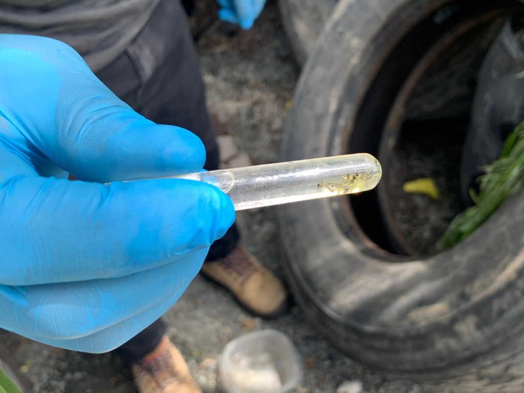 Pneus expostos podem se transformar em criadouros do mosquito da dengue em Otacílio Costa