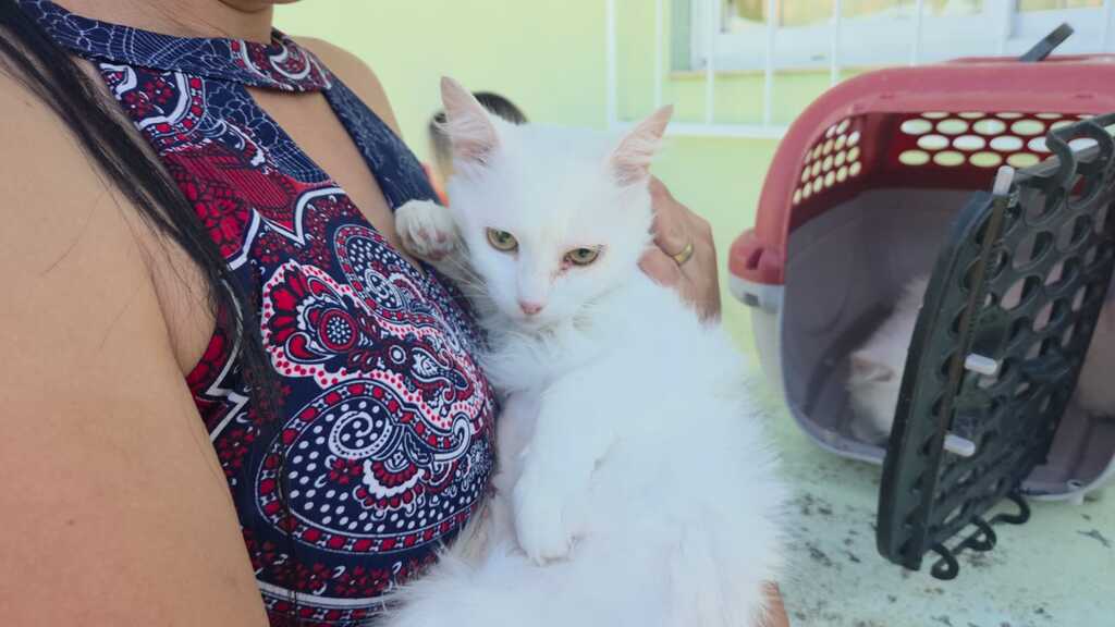 Programa Pet Levado a Sério avança em Santa Catarina