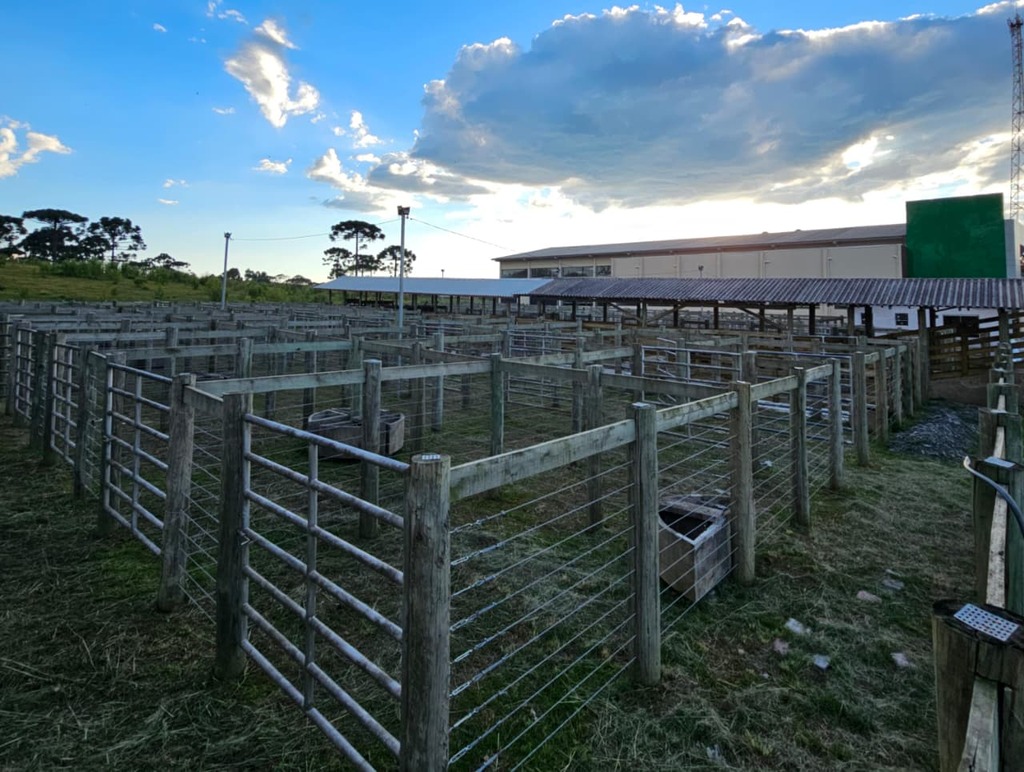 Em noite de emoção, Palmeira inaugura Cancha de Arremates Tarcísio Barbosa de Souza