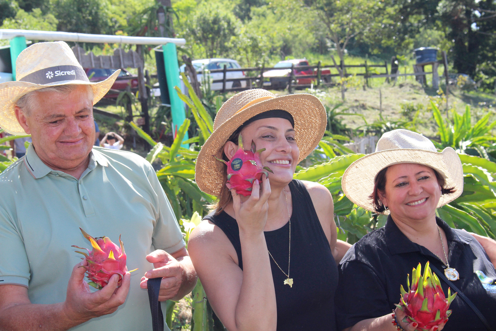 Aberta a temporada de colheita de pitayas na Serra Catarinense