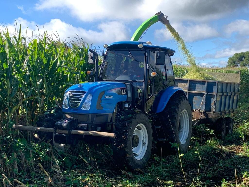 Otacílio Costa deve registrar safra recorde de silagem em 2026