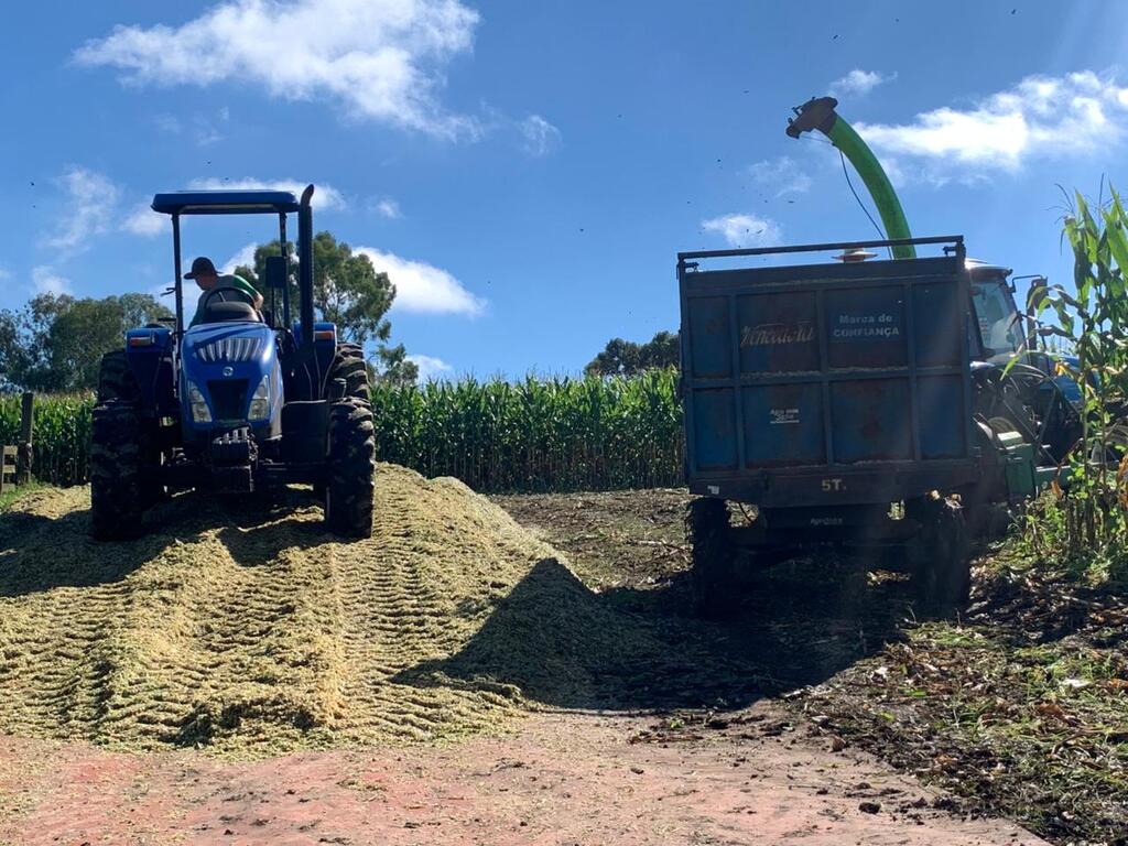 Otacílio Costa deve registrar safra recorde de silagem em 2026