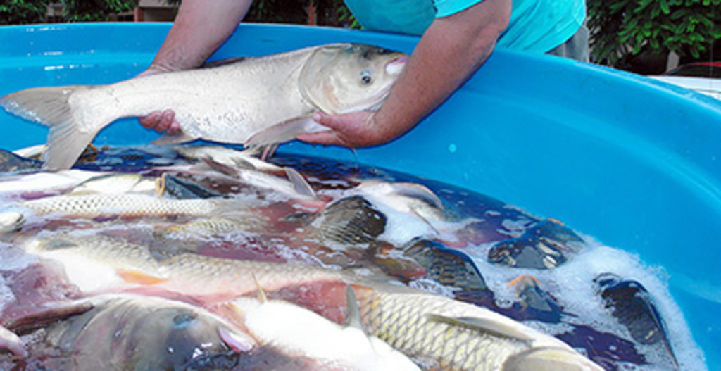 Reunião definirá realização nos próximos dias