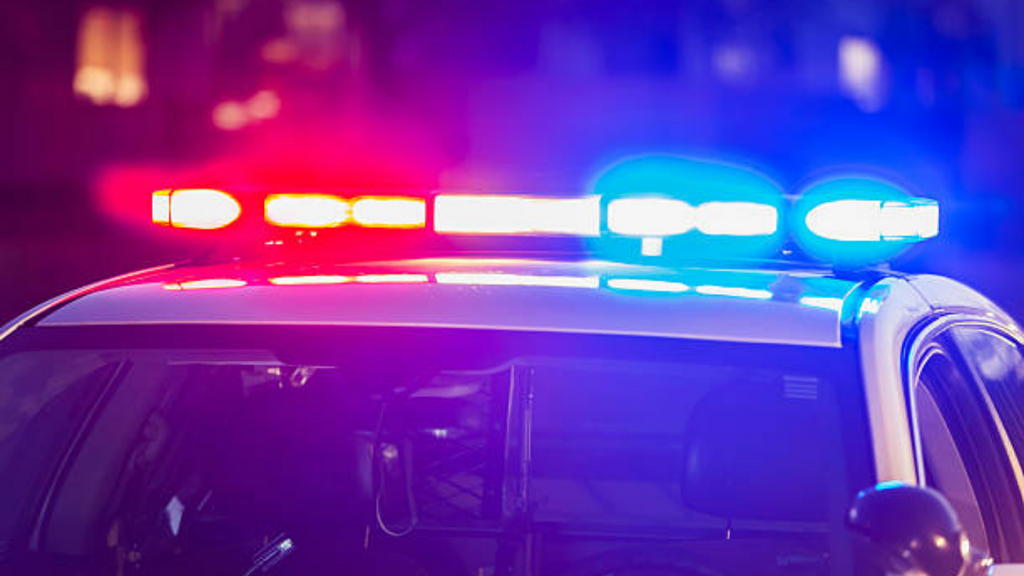 Operação conjunta intercepta transporte de maconha na BR-101 em Paulo Lopes