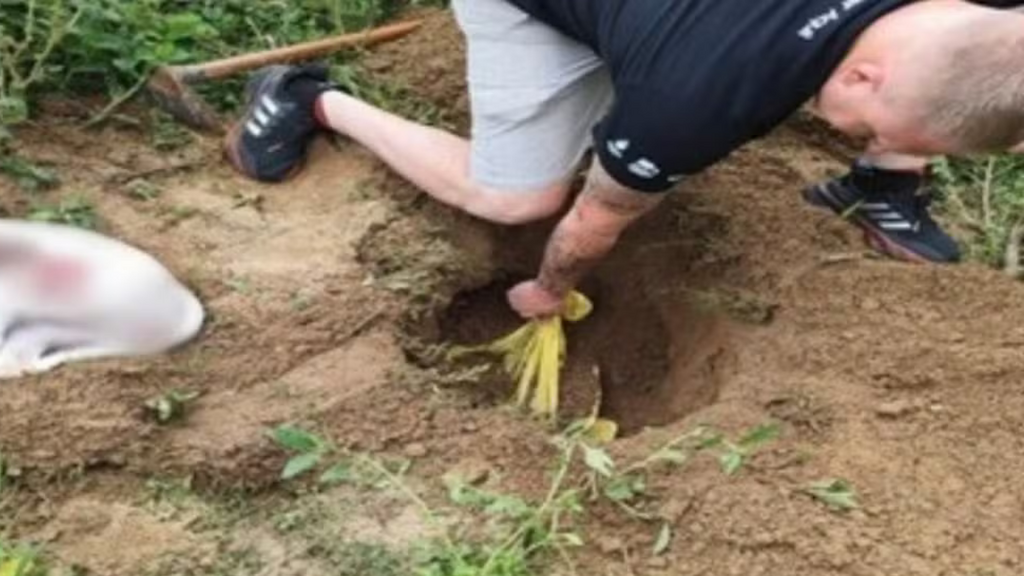 Idoso é preso suspeito de matar dois cães com golpes de machado e enterrar corpos em SC